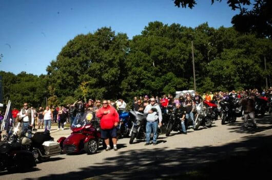 ROAR Pledge of Allegiance ROAR Pledge of Allegiance