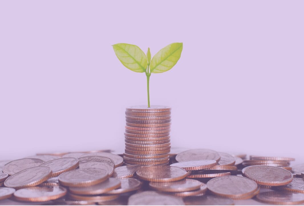 Seedling growing out of a tower of quarters Seedling growing out of a tower of quarters