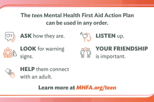 5-step teen Mental Health First Aid action plan 5-step teen Mental Health First Aid action plan