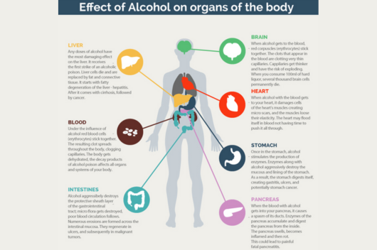 Alcohol’s Impact on the Body Alcohol’s Impact on the Body