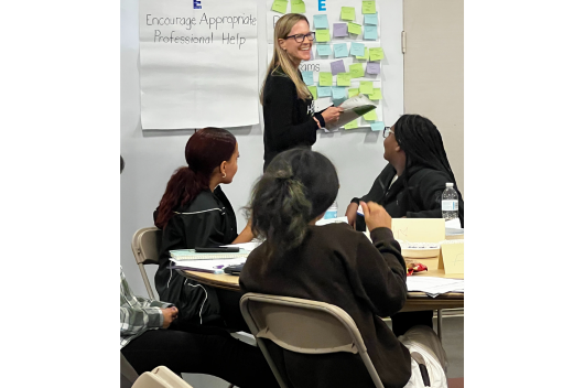 Herren Project MHFA trainers teaching a class Herren Project MHFA trainers teaching a class