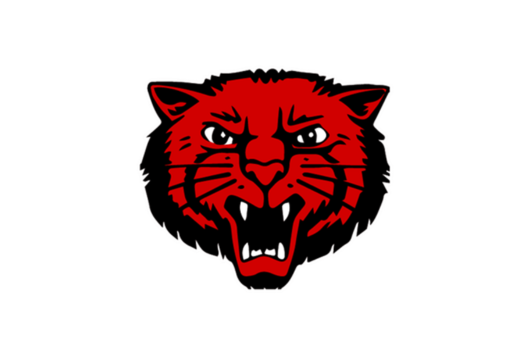 Mena High School Mena High School