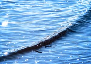 Ripples of Water Turning into a Wave Ripples of Water Turning into a Wave