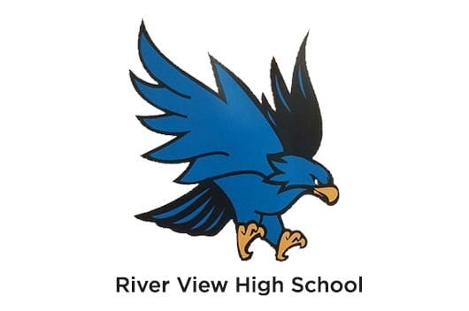 River View High School