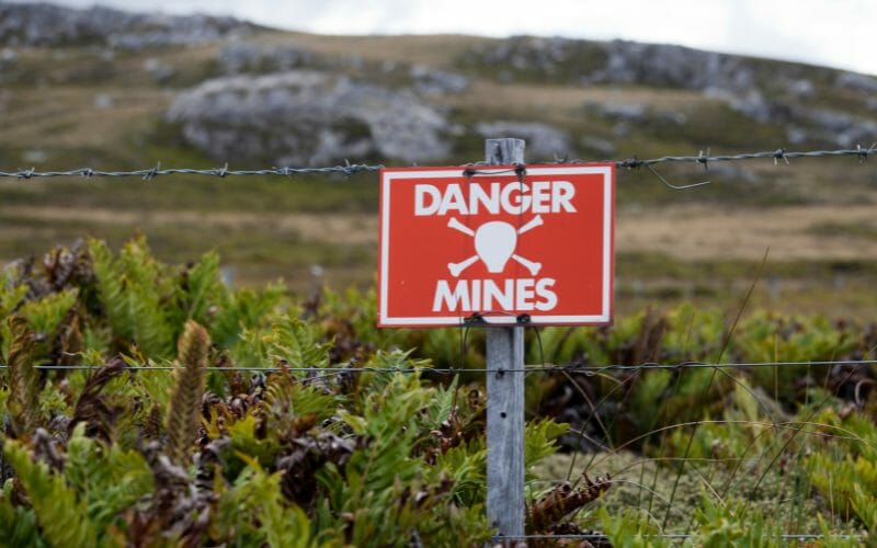 mindfield minefield