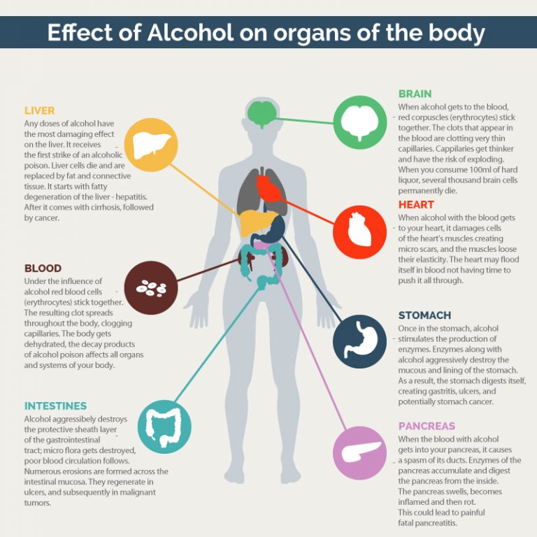 Understanding Alcoholism - Herren Project